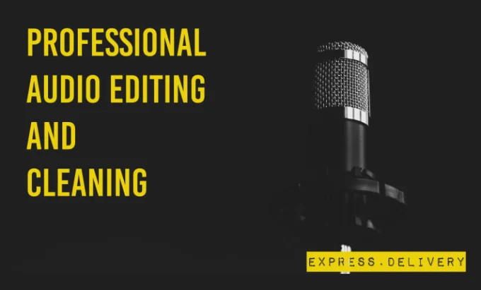 Professional Audio Editor